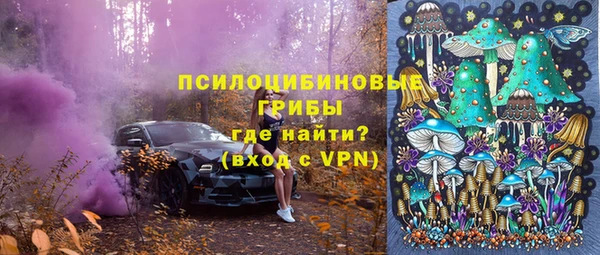PSILOCYBIN Абинск